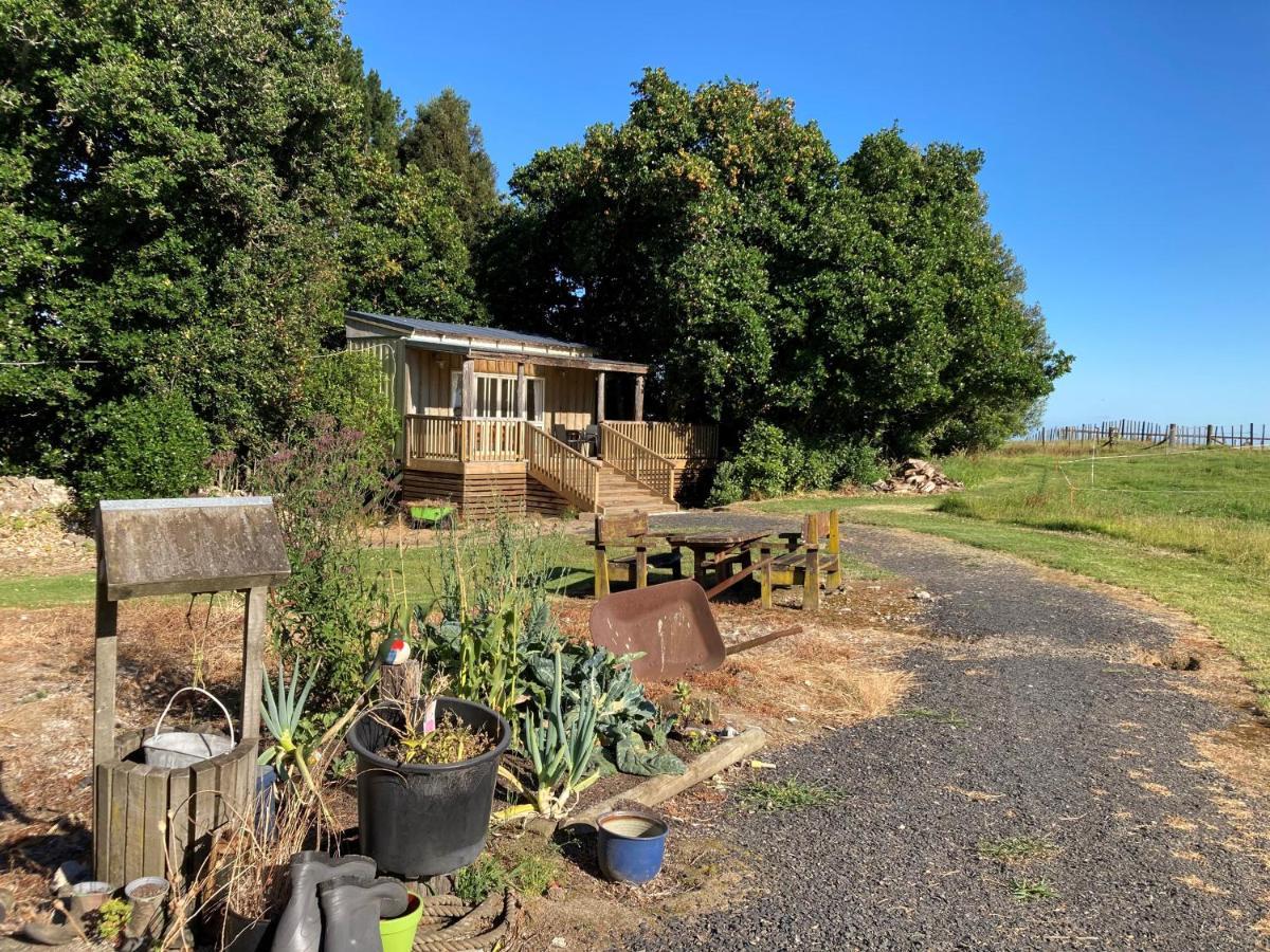 Вилла The Treehut Ohauiti Экстерьер фото