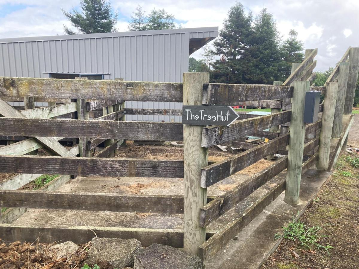 Вилла The Treehut Ohauiti Экстерьер фото